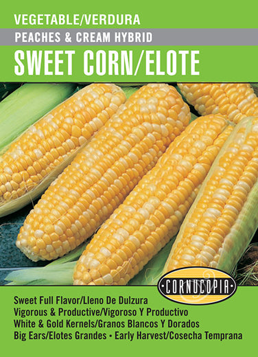 'Peaches & Cream Hybrid' Sweet Corn/Elote - Spanish/English