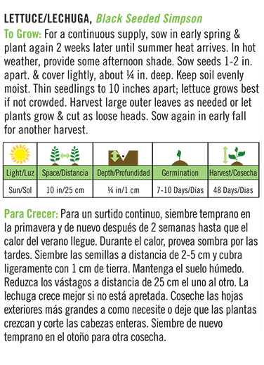 'Heirloom Black Seeded Simpson' Lettuce/Lechuga - Spanish/English