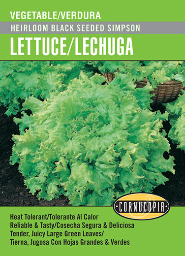 'Heirloom Black Seeded Simpson' Lettuce/Lechuga - Spanish/English
