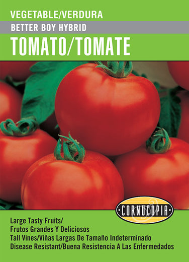 'Better Boy Hybrid' Tomato/Tomate - English/Spanish