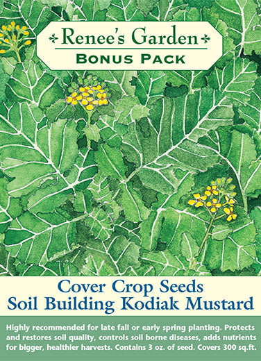 Soil Building Kodiak Mustard Cover Crop Seeds