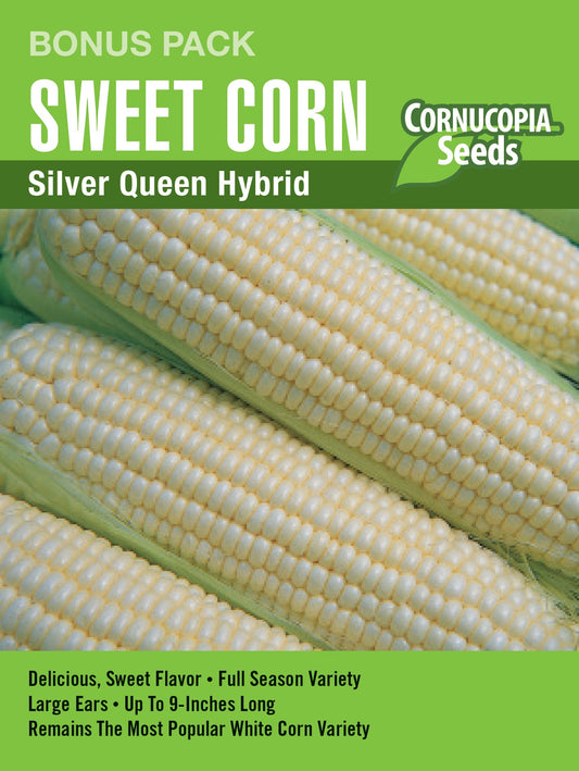 Sweet Corn Silver Queen Hybrid