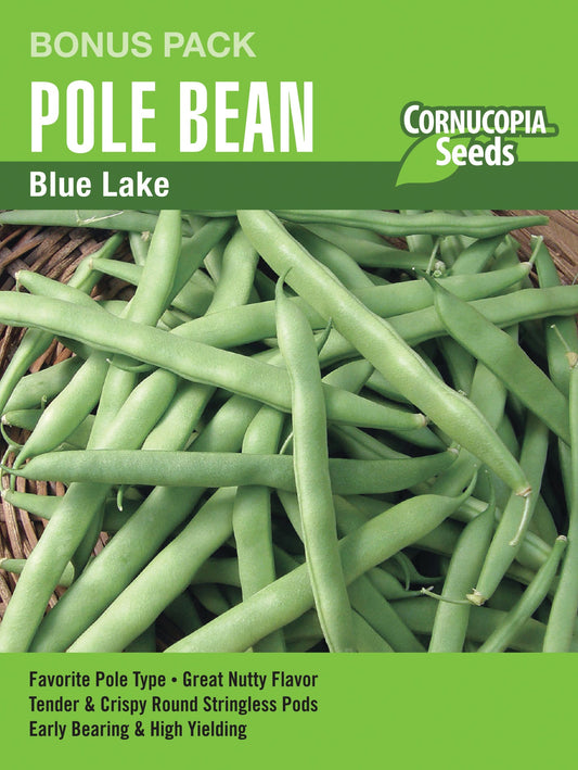 Pole Bean Blue Lake