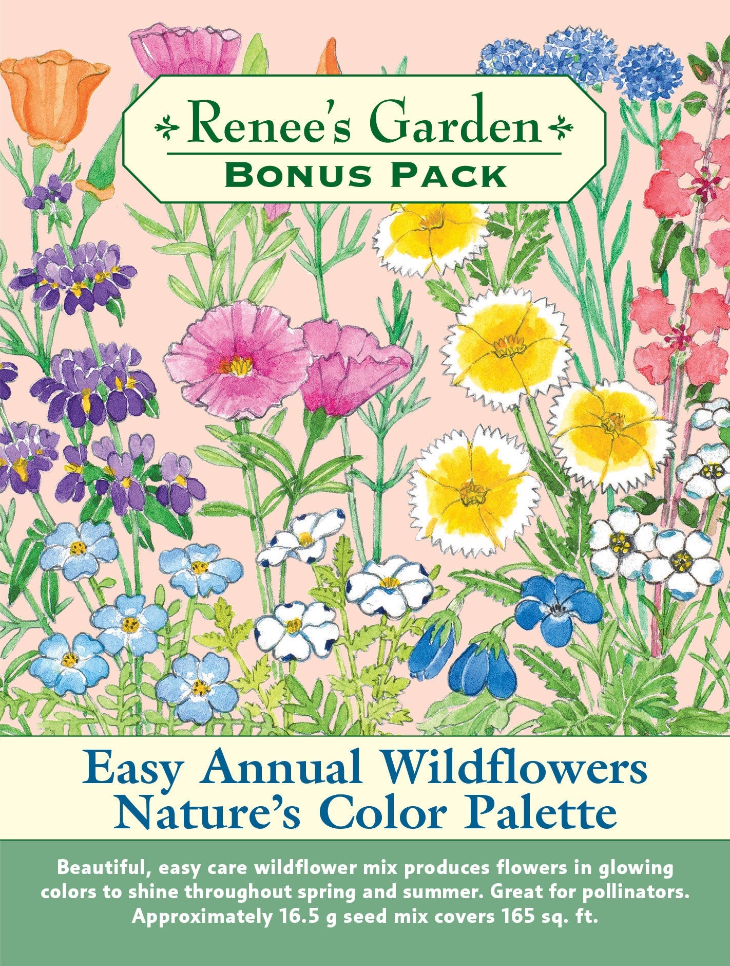 Easy Annual Wildflowers Nature’s Color Palette