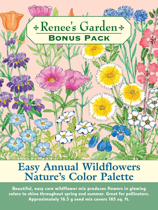 Easy Annual Wildflowers Nature’s Color Palette
