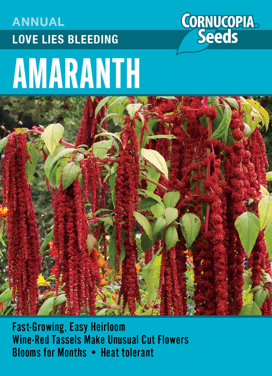 'Love Lies Bleeding' Amaranth