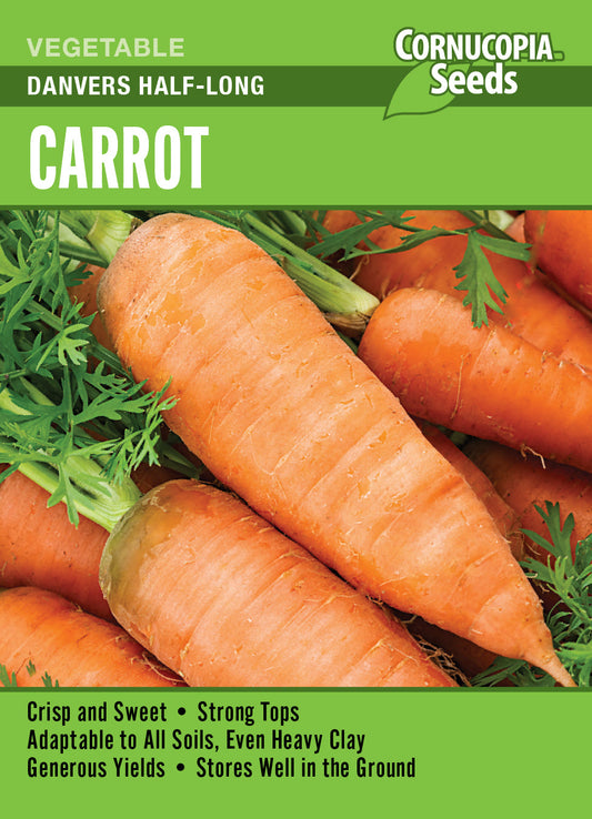 'Danvers Half-Long' Carrot