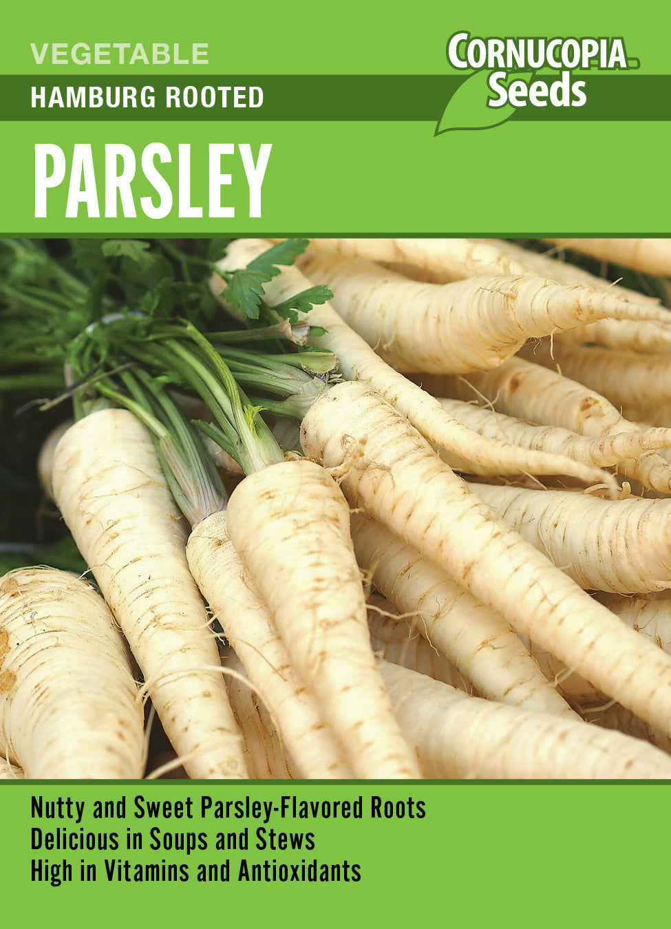 ‘Hamburg Rooted’ Parsley