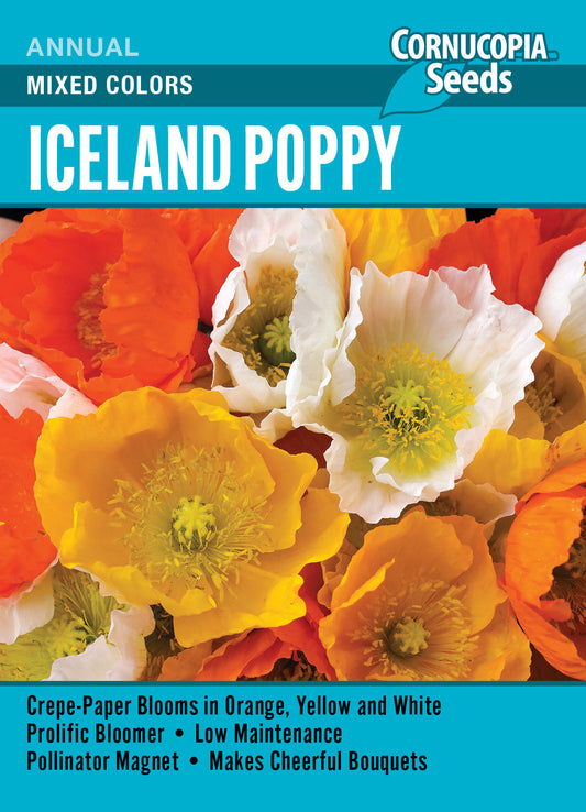 ‘Mixed Colors’ Iceland Poppy