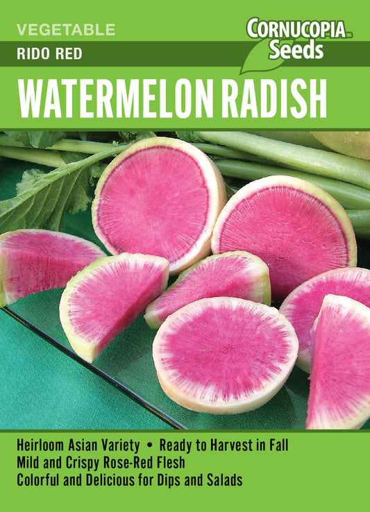 ‘Rido Red’ Watermelon Radish