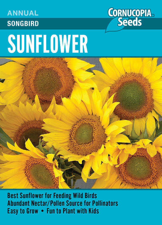 ‘Songbird’ Sunflower