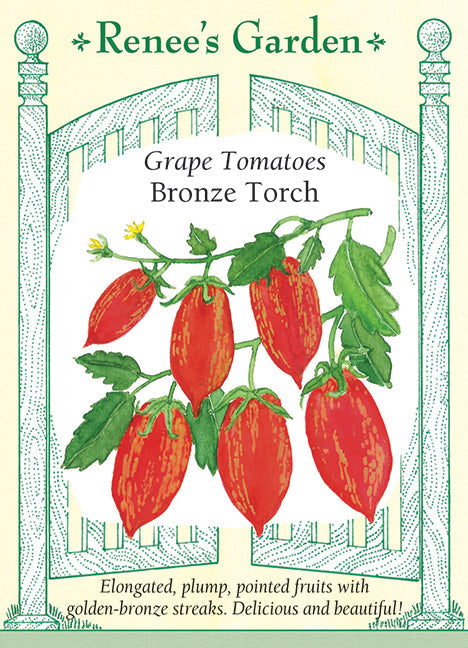 Bronze Torch