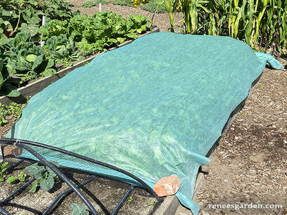 Agryl Floating Row Cover
