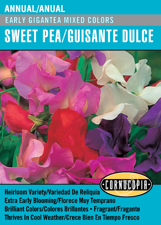 'Early Gigantea Mixed Colors' Sweet Pea/Guisante Dulce - Spanish/English