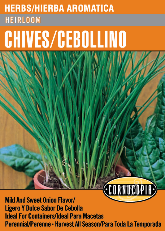 Heirloom Chives/Cebollino - Spanish/English