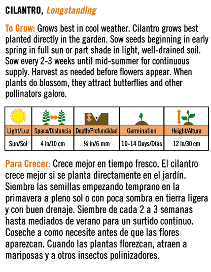 'Longstanding' Cilantro - Spanish/English