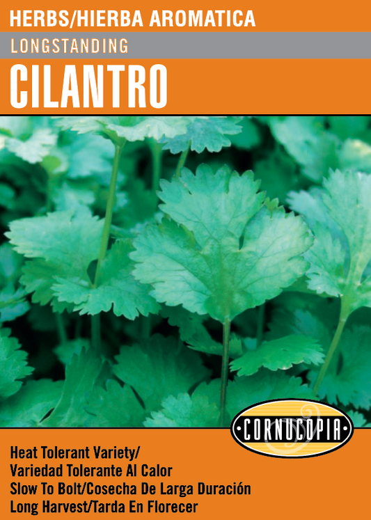 'Longstanding' Cilantro - Spanish/English