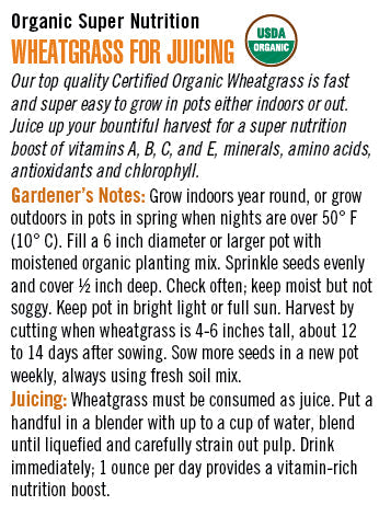 'Organic Super Nutrition' Wheatgrass for Juicing