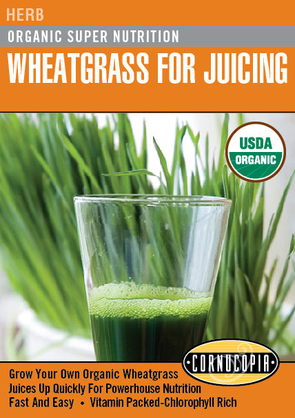 'Organic Super Nutrition' Wheatgrass for Juicing