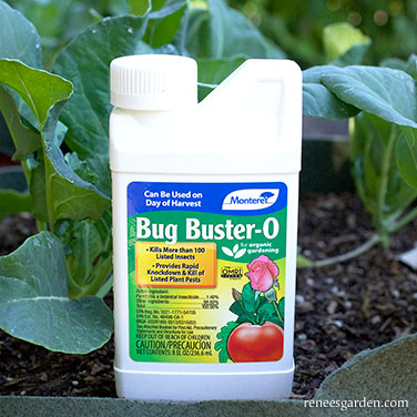 Bug Buster-O