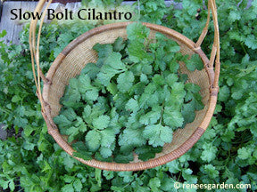 The Container Herb Garden