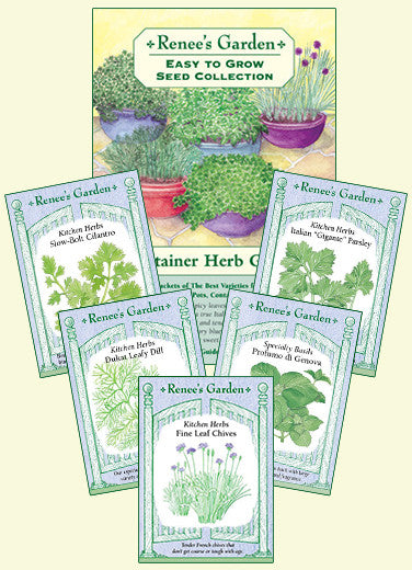 The Container Herb Garden