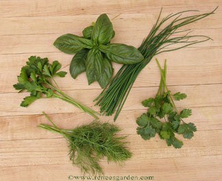The Container Herb Garden