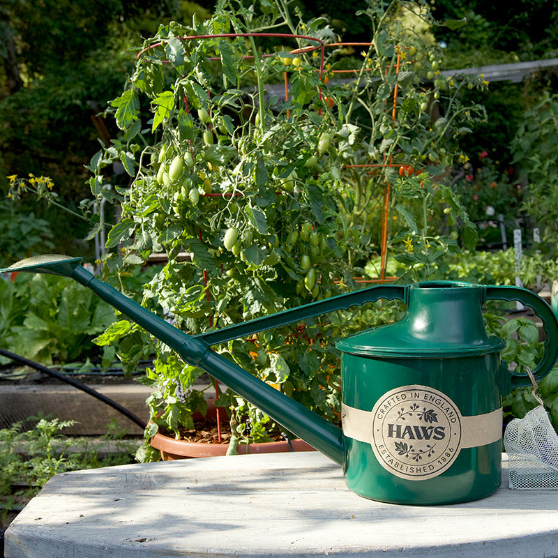 Haws 1.8 Gallon Classic Watering Can