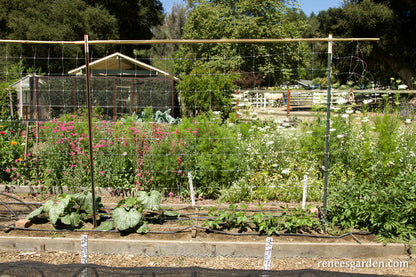 Hortonova Trellis Netting