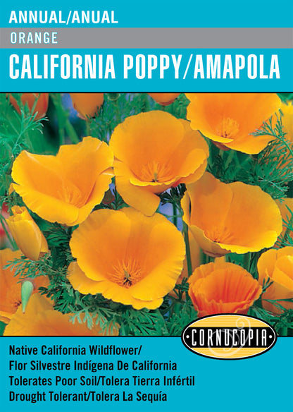 'Orange' California Poppy/Amapola - English/Spanish