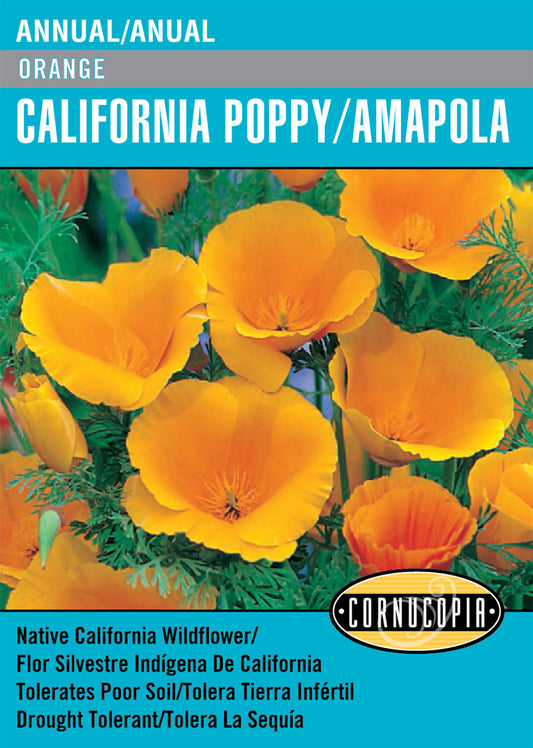 'Orange' California Poppy/Amapola - English/Spanish