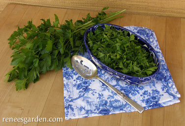 Italian 'Gigante' Parsley