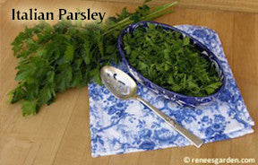 The Container Herb Garden