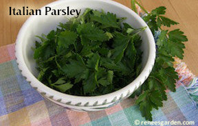The Container Herb Garden