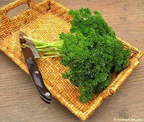 Sweet Curly Parsley