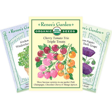 Stock Seed Co Asst RG 1 Panel