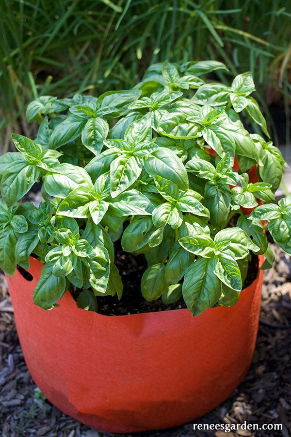 Smart Pots