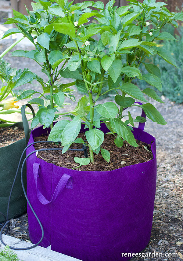 Smart Pots