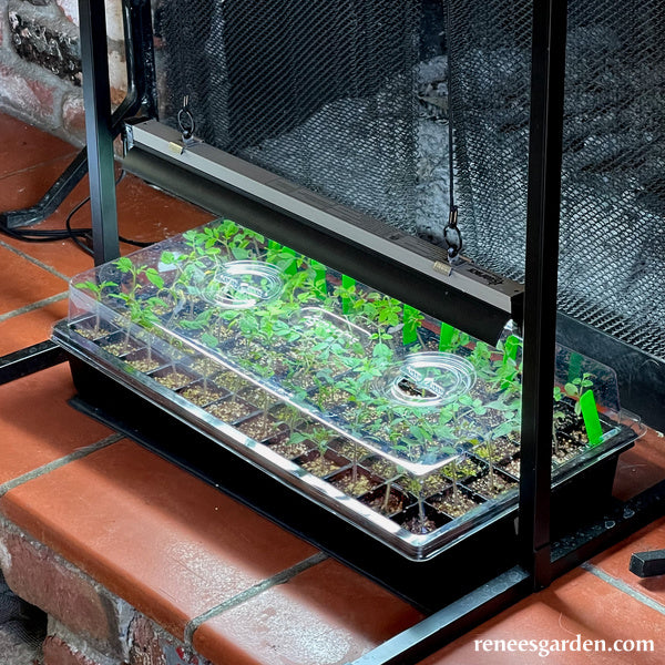 Sunkit Seed Starting System