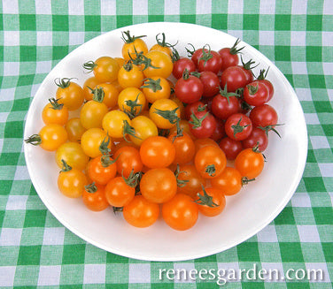 Garden Candy