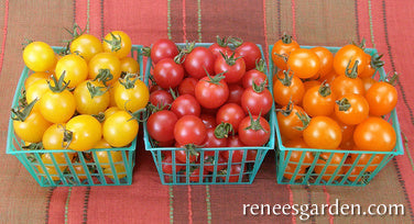 Garden Candy