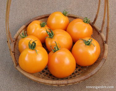 Mandarin Cross