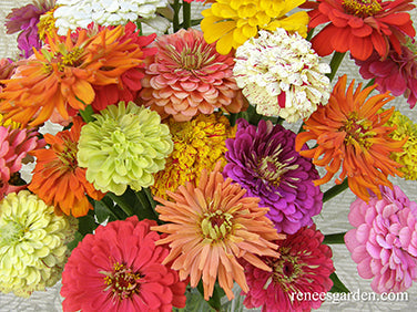 Granny's Bouquet
