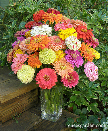 Granny's Bouquet