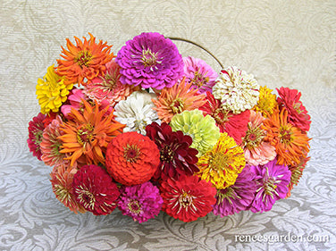 Granny's Bouquet
